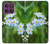 S1818 Forget Me Not Case For Motorola Edge 60 Pro