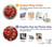 S2414 Red Blossoming Almond Tree Van Gogh Case For Motorola Edge 60 Pro