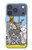 S3068 Tarot Card Queen of Swords Case For iPhone 17 Pro, 18 Pro