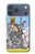 S3068 Tarot Card Queen of Swords Case For iPhone 17 Pro Max, 18 Pro Max