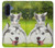 S3795 Kitten Cat Playful Siberian Husky Dog Paint Case For Samsung Galaxy A17