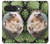 S3863 Pygmy Hedgehog Dwarf Hedgehog Paint Case For Google Pixel 10, 10 Pro