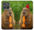 S4068 Capybara Butterfly Case For Motorola Edge (2025)