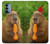 S4068 Capybara Butterfly Case For OnePlus Nord N200 5G