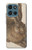 S3781 Albrecht Durer Young Hare Case For Motorola Moto G (2026), G Play (2026)