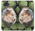 S3863 Pygmy Hedgehog Dwarf Hedgehog Paint Case For Google Pixel 10a