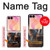 S3995 Grim Wolf Indian Girl Case For Samsung Galaxy Z Flip 8