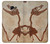 S0379 Dinosaur Fossil Case For Samsung Galaxy A5 (2017)
