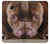 S0519 PitBull Face Case For Samsung Galaxy A5 (2017)