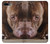 S0519 PitBull Face Case For iPhone 7 Plus, iPhone 8 Plus S0519 PitBull Face Case For iPhone 7 Plus, iPhone 8 Plus