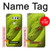 S0785 Green Snake Case For LG V30, LG V30 Plus, LG V30S ThinQ, LG V35, LG V35 ThinQ