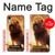 S1957 Lion Aslan Case For iPhone XR