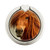 S1595 Beautiful Brown Horse Graphic Ring Holder and Pop Up Grip