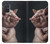 S1273 Crazy Pig Case For Samsung Galaxy A71
