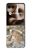 S4030 Capybara Hot Spring Case For Motorola Razr 60 Ultra, Razr Ultra 2025