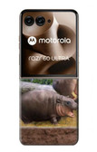 S4031 Baby Hippo Hippopotamus Family Case For Motorola Razr 60 Ultra, Razr Ultra 2025