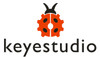 Keyestudio