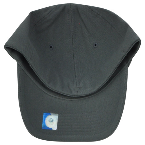 FANTASTICS buddix Logo Cap グレー FANTASTICS buddix Logo Cap グレー buddix_OFFICIAL on X: