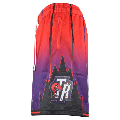 Mitchell & Ness Toronto Raptors Swingman Basketball Shorts