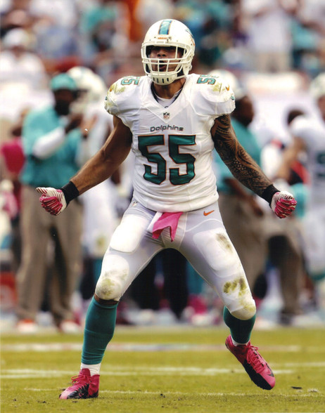 Miami Dolphins' Cam Wake addresses his future