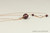 14K rose gold filled wire wrapped elderberry purple pearl pendant on chain necklace handmade by Jessica Luu Jewelry