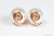 14K rose gold filled wire wrapped white pearl stud earrings handmade by Jessica Luu Jewelry