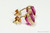 14K yellow gold filled wire wrapped fuchsia pink purple crystal cube stud earrings handmade by Jessica Luu Jewelry
