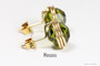 14K yellow gold filled wire wrapped olivine green crystal round stud earrings handmade by Jessica Luu Jewelry