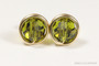 14K yellow gold filled wire wrapped olivine green crystal round stud earrings handmade by Jessica Luu Jewelry