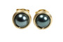 14K yellow gold filled wire wrapped blue grey Tahitian pearl stud earrings handmade by Jessica Luu Jewelry