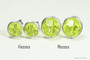 Sterling silver wire wrapped citrus green crystal stud earrings handmade by Jessica Luu Jewelry