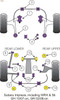 Powerflex Track Rear Lower Track Control Inner Bushes - Impreza Turbo inc. WRX, STi & XV GH (10/07-12/10) GR (02/08-12/10) - PFR69-509BLK