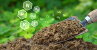 Portable Gas Monitors in Agricultural and Farming Applications