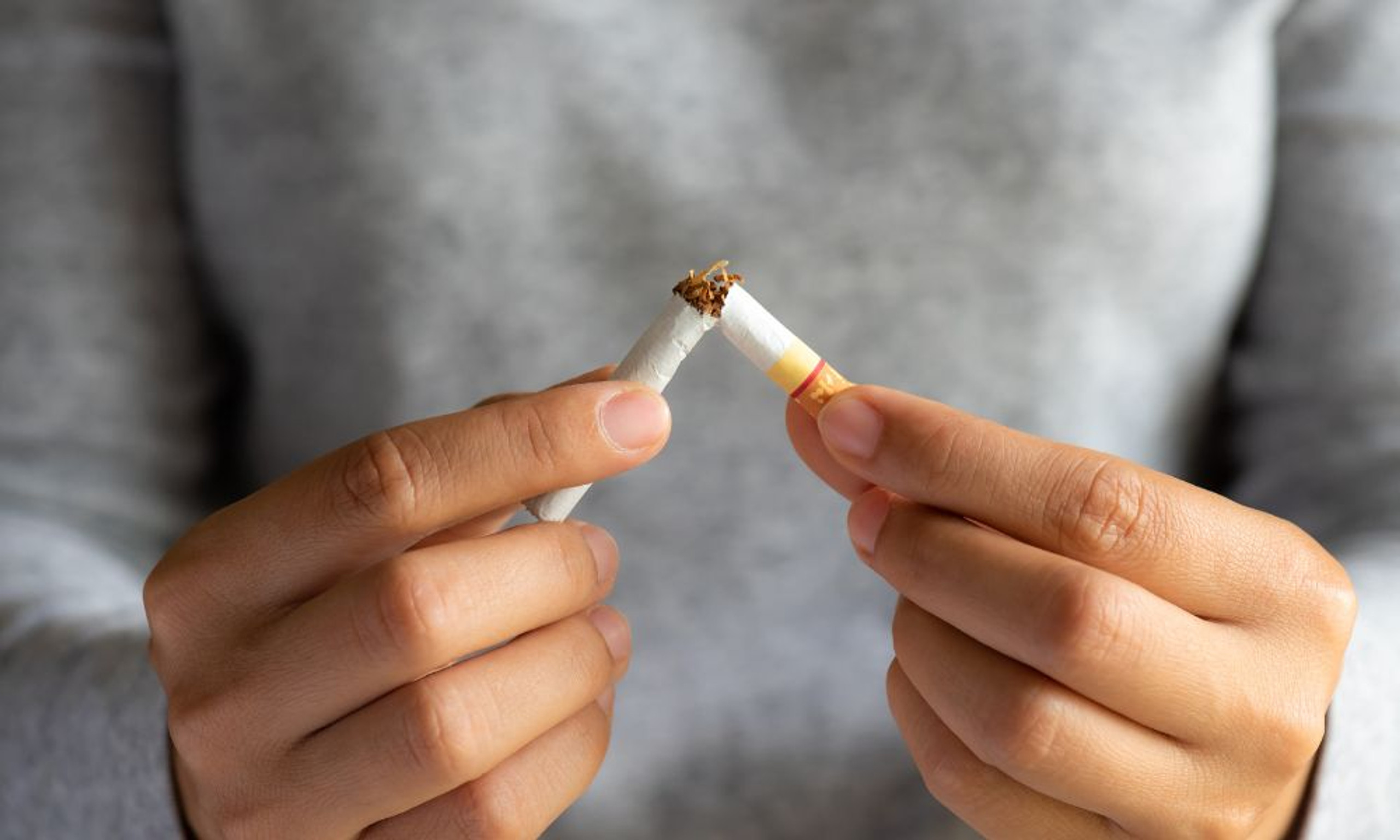 Formaldehyde Exposure: Could It Be Behind Your Constant Hunger? - swynnce