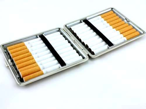 Bronze Butterfly Cigarette Case