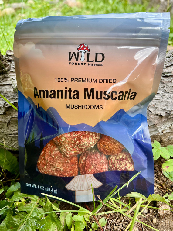 Premium dried Amanita muscaria mushroom caps