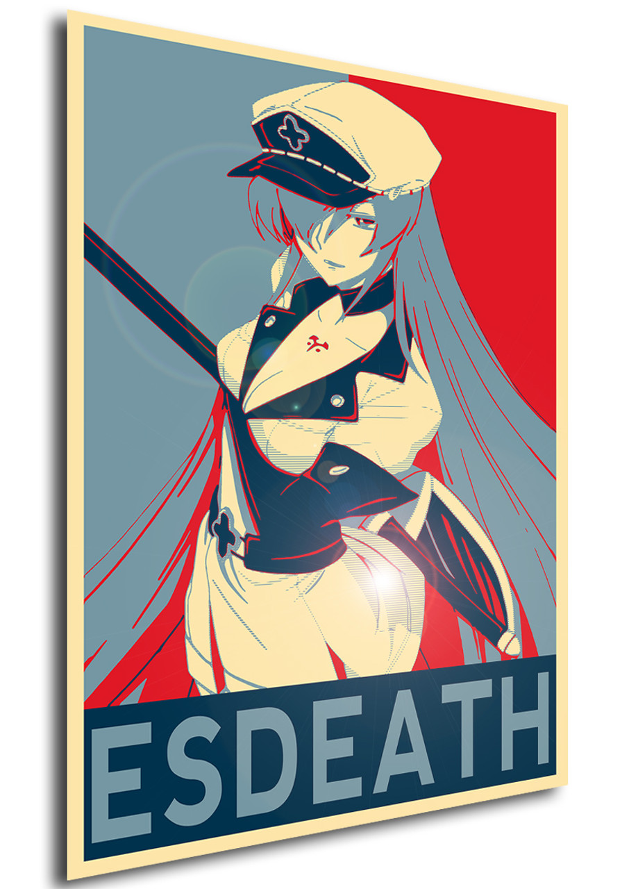 Akame ga Kill Esdeath Propaganda Poster