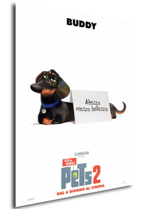 Poster - Locandina - The Secret life of Pets 2 - Buddy