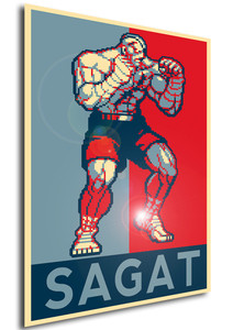 Poster - Propaganda - Pixel Art - Street Fighter II - Sagat
