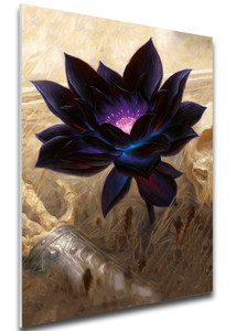 Forex Panel A4 Card Illustration Magic Black Lotus