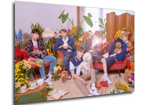 Poster - Kpop - TXT - Cat & Dog Concept A
