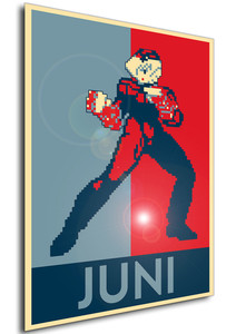 Poster - Propaganda - Pixel Art - Street Fighter Alpha - Juni Poster - Propaganda - Pixel Art - Street Fighter Alpha - Juni