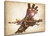 Poster Wanted - Hyrule Warriors Age of Calamity - Divine Beast Vah Medoh - LL1547