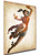 Poster Wanted - Street Fighter x Tekken - Ling Xiaoyu - LL1909 Poster Wanted - Street Fighter x Tekken - Ling Xiaoyu - LL1909