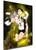 Poster Galaxy - Haikyuu Fukurodani - Akaashi Keiji - SA1109 Poster Galaxy - Haikyuu Fukurodani - Akaashi Keiji - SA1109
