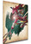 Poster Wanted - Zelda Tears of the Kingdom - Sidon - LL3463 Poster Wanted - Zelda Tears of the Kingdom - Sidon - LL3463