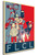 Poster - Propaganda - Hinomaru Sumo - Flcl group