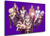 Poster - SA0104 - Anime - Jojo's Bizarre Adventure - Vento Aureo - Villains Poster - SA0104 - Anime - Jojo's Bizarre Adventure - Vento Aureo - Villains
