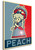 Poster - Propaganda - Pixelart - Paper Mario - Princess Peach