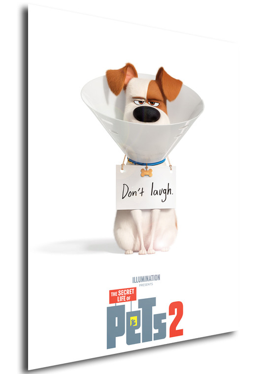 Poster - Locandina - The Secret life of Pets 2 - Don't Laugh